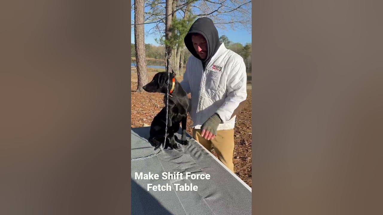 A no excuses force fetch table build your own youtube