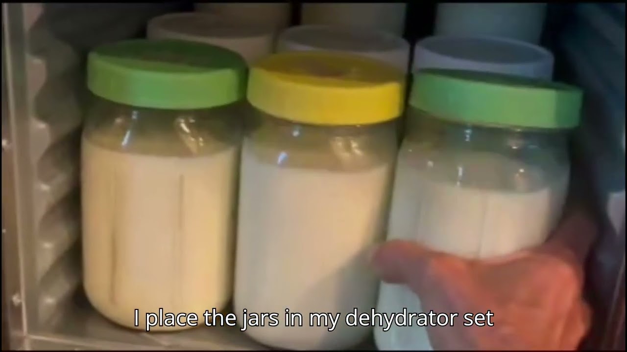Probiotic Yogurt Recipe (3-Strain Gut Health)