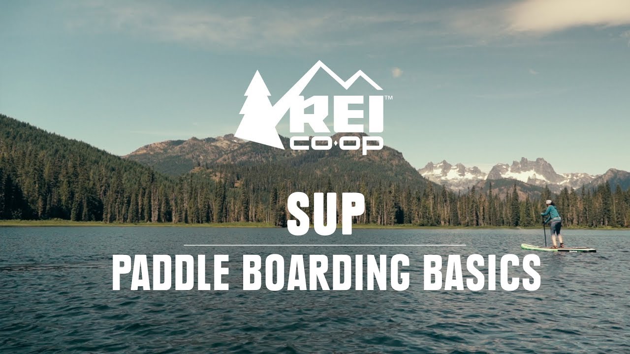 ⁣SUP: Paddle Boarding Basics || REI