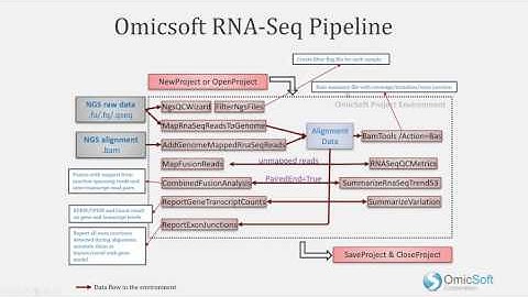 RNAseq - 01 - Introduction to Array Studio RNAseq Pipeline