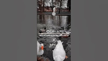 #ارح سمعك وقلبك❤️ لدقيقه #سورة الهمزة القارى الشيخ محمد الفقيه