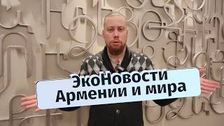 Выбрана птица года. ЭкоНовости Армении и мира 2.12.24