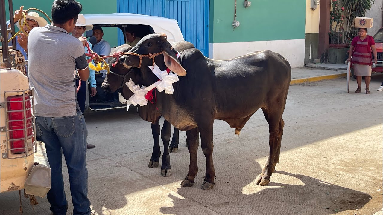 Regalo de bodas en Santa Lucía Ocotlan