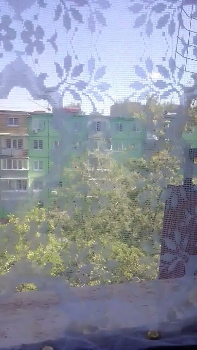 #шутка - YouTube