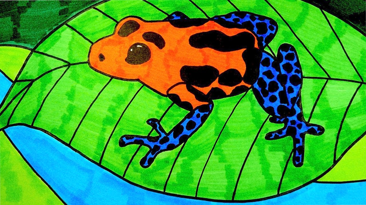 How To Draw A Poison Dart Frog (KIDS) - YouTube