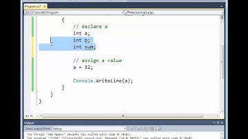 C# Basic Numeric Variables and Arithmetic
