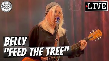 Thumbnail of Belly "Feed the Tree" LIVE