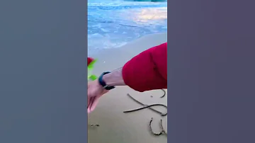 اسم الاء على الرمل شاهد الجمال 