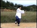 4. ????85??????? Authentic Yang Style Taichi 85 Form Fu Qingquan