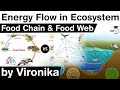 Energy Flow in an Ecosystem - Concept of Food Chain and Food Web explained #UPSC #IAS