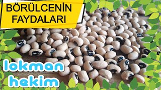 BÖRÜLCENİN FAYDALARI