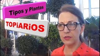 Download lagu Cómo hacer topiarios en tu jardín esculturas naturales Episodio 17 Cómo hacer topiarios en tu jardín esculturas naturales Episodio 17
