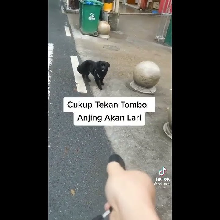 Ultrasonic Pengusir Anjing