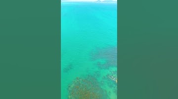 تلاوات مختارة /  (رب قد آتيتني من الملك وعلمتني من تأويل الأحاديث فاطر السماوات والأرض)