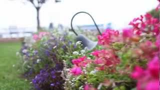 THE SILVER BOAT-- BOOK TRAILER