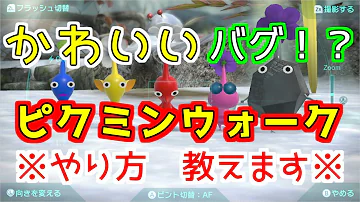 ゲーム館ピクミンレース ゲーム館ピクミンレース