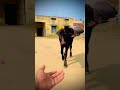 like this reel and subscribe, ,,#trendingshorts #public
