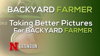 Taking Better Pictures For Backyard Farmer screenshot 3