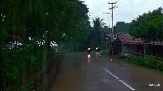 Walking During Heavy Rain in My Village Near The Forest,Relieve Stress and Anxiety #asmr #relaxing