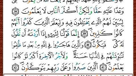 ختمة مصحف التجويد برواية قالون الصفحة رقم 271