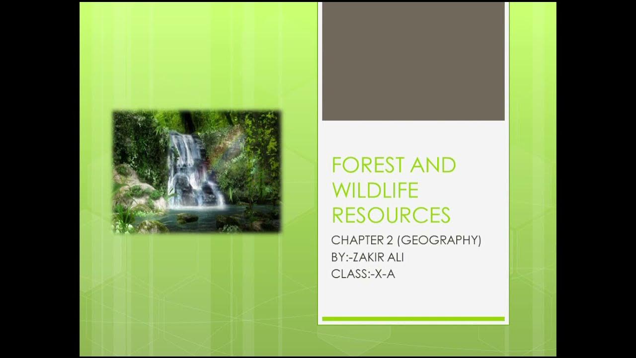 PPT ON FOREST AND WILDLIFE RESOURCES CLASS 10 GEOGRAPHY CHAPTER10