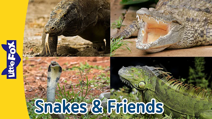 Amazing Reptiles! Rattlesnakes, King Cobras, and More | Fun Animal Facts for Kids | Little Fox thumbnail