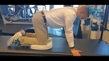Spine - Mobility - Flexion Extension Cat Camel Exercise for Segmental Control of the Spine