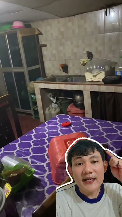Curiga ada suara aneh dari dapur setiap malam ! TERNYATA.....