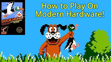 How To Play Duck Hunt On An LCD Monitor