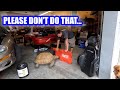 Catfish, a Tortoise, and Dogs Invade the Shop! (Camaro Running Again)