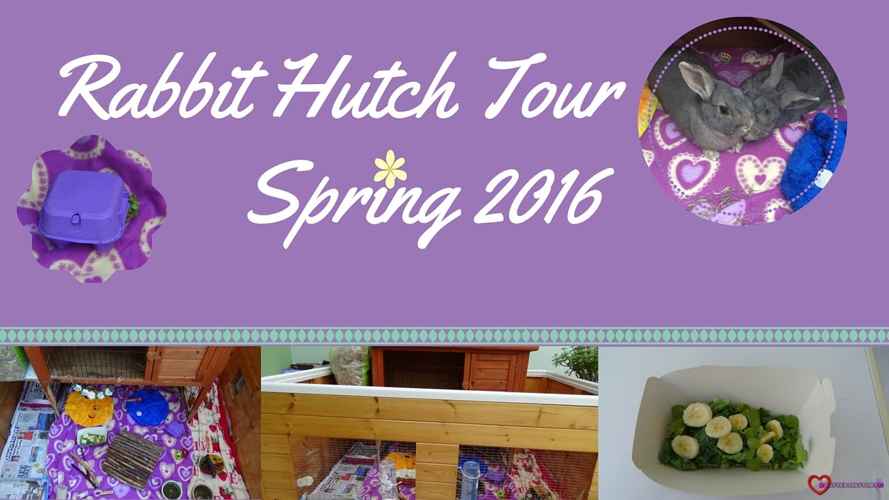 Rabbit Spring Hutch Tour 2016