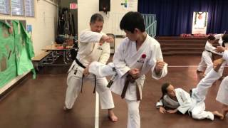 JKA Hawaii Mannequin Challenge 2