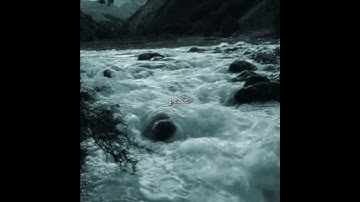 Take a break from scrolling:). |#Peace||#naturesounds