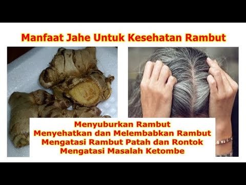 Video: Halia Untuk Rambut: Faedah, Cara Menggunakannya, Dan Langkah Berjaga-jaga