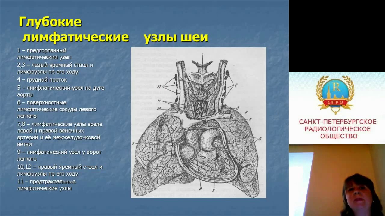 Мутовкина Н.И.МРТ в диагностике заболеваний шеи и верхнего средостения