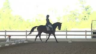 Freddy 3Rd Level Test 1 - 71.756%