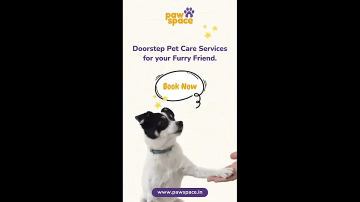 Watch the video about Introducing PawSpace Doorstep Pet Grooming - Essential Bath #pawspaws #pet #petgroomer #animals #cat