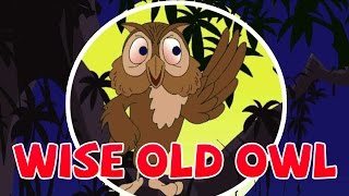 English Nursery Rhymes | Wise Old Owl | Animated Cartoon Rhymes | WOW Juniors News