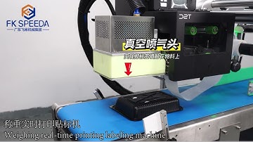 Automatic Weighing & Real-time Printing Labeling Machine