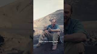 My Moto Guzzi | The Stelvio Diaries – Andrea Livio 🦅