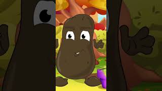 Dziecięce Przeboje Najlepsze Piosenki I Bajki Dla Dzieci