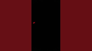 Kid Buggy - Groovey I guess