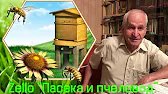 Ясенковская пасека