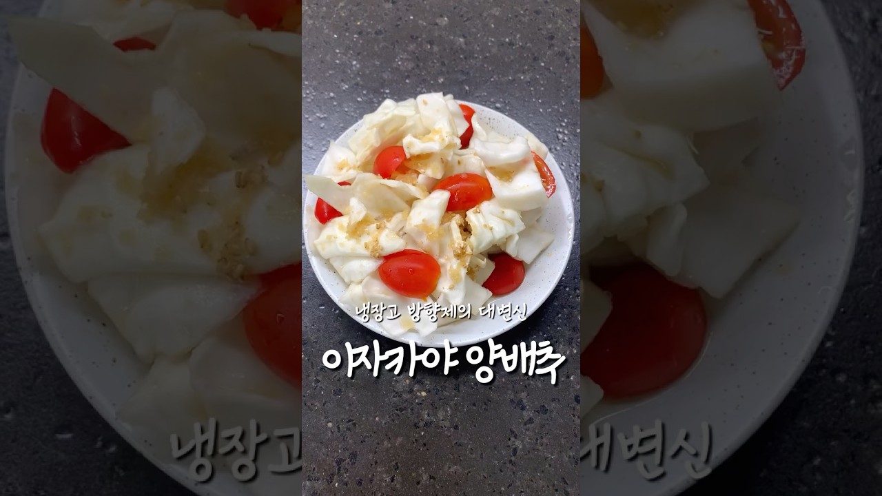 냉장고 속 양배추로 만드는 이자카야 양배추 샐러드 레시피 숏폼 썸네일