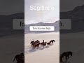 Votre horoscope du 30 mai 2026 (Partie 2) #zodiaque #astrologie #horoscope