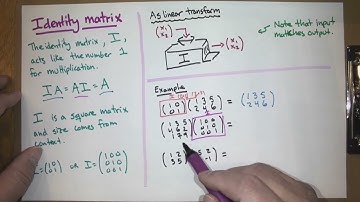 Matrix inverse; Identity matrix (Finite math; Lecture 25; Fall 25)