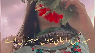 Mede Dil da Jani Baun Sohna hei | Slowed Revereb | Saraiki song | | Zeeshan  rokhri | | Music Girl |