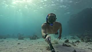 Египет Подводная съемка «Жизнь океана» 11 серия