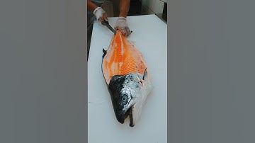 Art Of Half Salmon Fish Filleting ⚔️🐬 #shorts