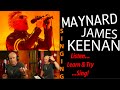 How To Sing Like Maynard James Keenan (Learn dynamics, articulation, tone & control) NOT A REACTION